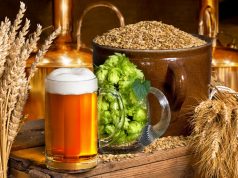ESCM – Tecnologia Cervejeira