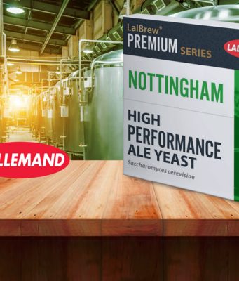 ATENUANDO – Fermento Nottingham – Lallemand