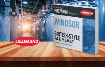 ATENUANDO – Fermento Windsor – Lallemand