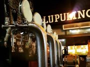 Lupulino Cervejas Artesanais